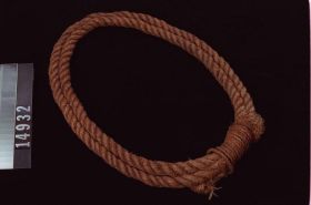 Image representing Ring.