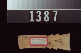 Image representing Scraper.