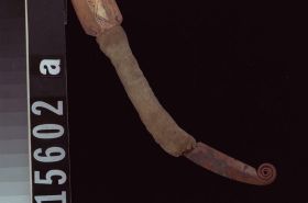 Image representing Dagger; Sheath.