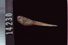 Image representing Knife.