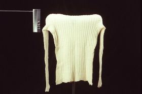 Image representing Sweater.