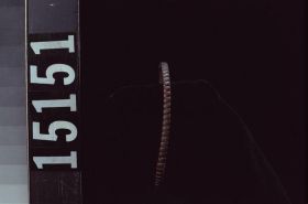 Image representing Bracelet.