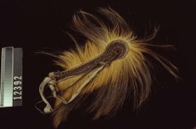 Image representing Roach.