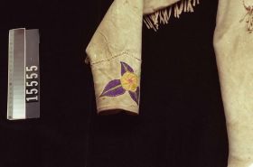 Image representing Shirt.