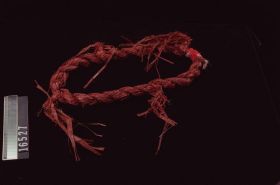 Image representing Ring.