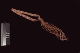 Image representing Band.