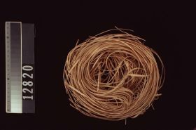 Image representing Prepared Material.