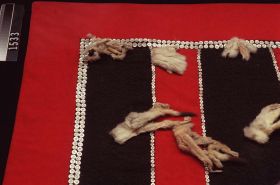 Image representing Blanket.