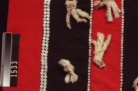 Image representing Blanket.