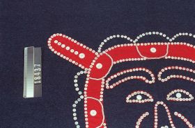 Image représentant Blanket