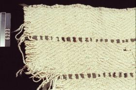 Image representing Blanket.