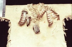 Image representing Shirt.