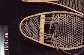 Image representing Snowshoe.