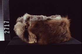 Image representing Headdress.