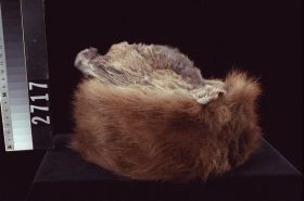 Image representing Headdress.