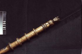 Image représentant Staff