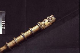 Image représentant Staff