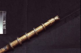 Image représentant Staff