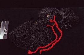 Image representing Headdress.