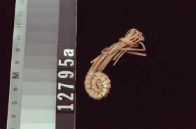 Image representing Basket, fragment.