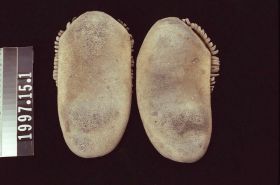 Image representing Moccasin.