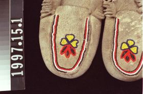 Image representing Moccasin.