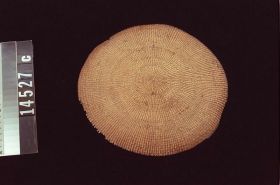 Image representing Basket.