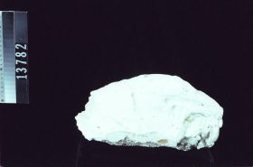 Image representing Mold.