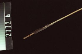 Image representing Arrow.