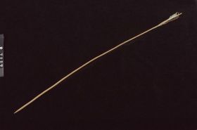 Image representing Arrow.