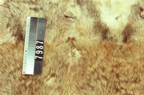 Image representing Robe.