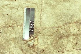 Image representing Robe.