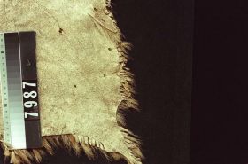 Image representing Robe.