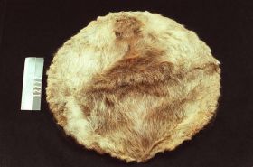 Image representing Pelt.