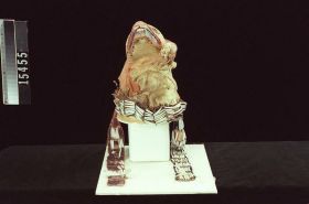Image representing Headdress.