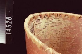 Image representing Basket.