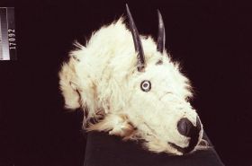 Image representing Mask.