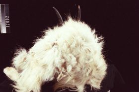 Image representing Mask.