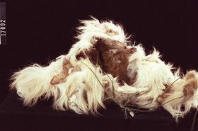 Image representing Mask.