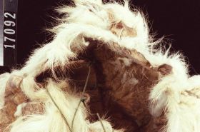 Image representing Mask.