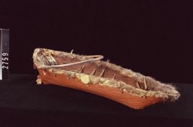 Image representing Carrier.