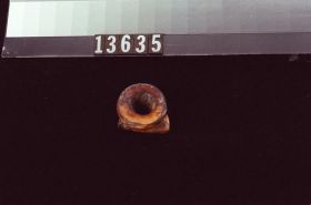 Image representing Labret.