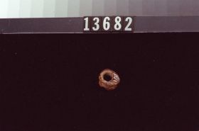 Image representing Labret.