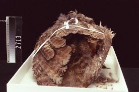 Image representing Cap.