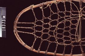 Image representing Snowshoe.