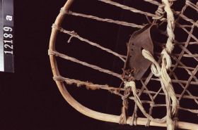 Image representing Snowshoe.