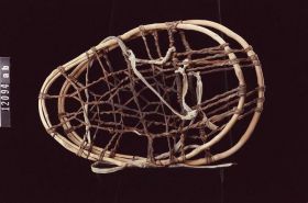 Image representing Snowshoe.
