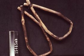 Image representing Net; Ring.