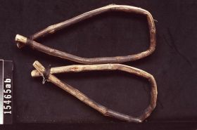 Image representing Net; Ring.