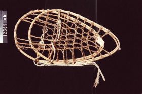 Image representing Snowshoe.